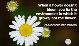 When a flower doesn't bloom